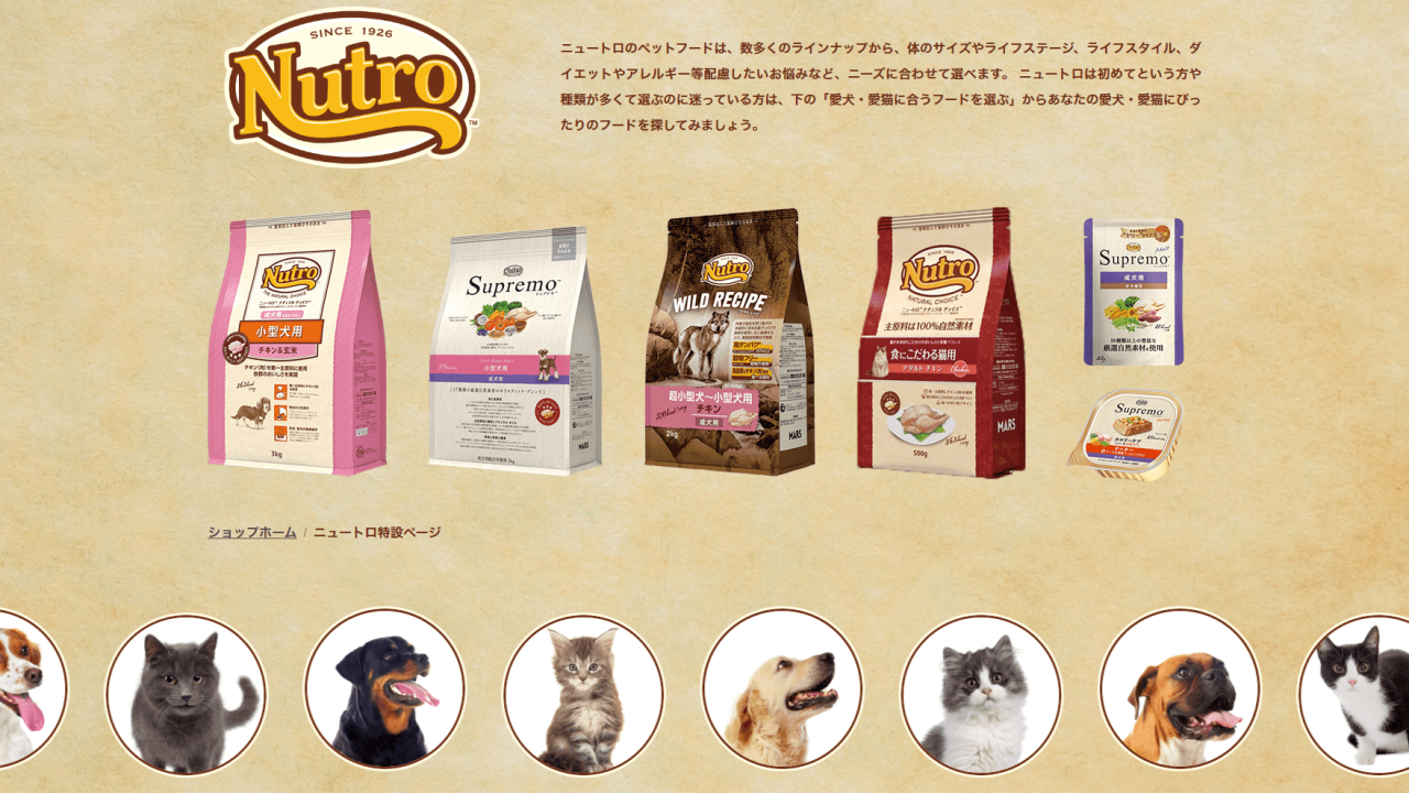 大阪市阿倍野区にあるペット用品のネット販売・トリミングサロン運営の会社